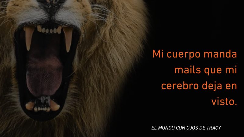 Mi cuerpo manda mails que mi cerebro deja en visto